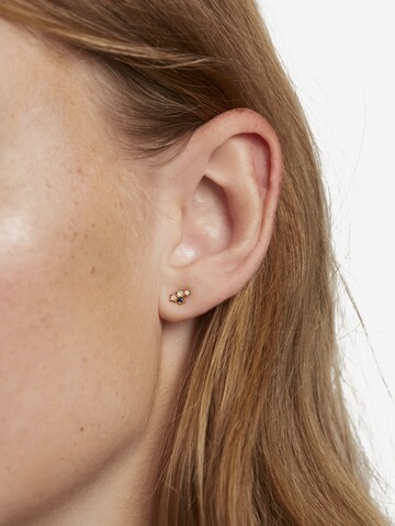P D PAOLA Earrings 'Capricorn' in Gold