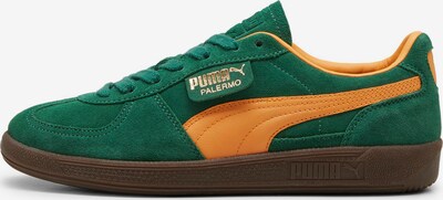PUMA Sneaker low 'Palermo' i guld / smaragd / orange, Produktvisning
