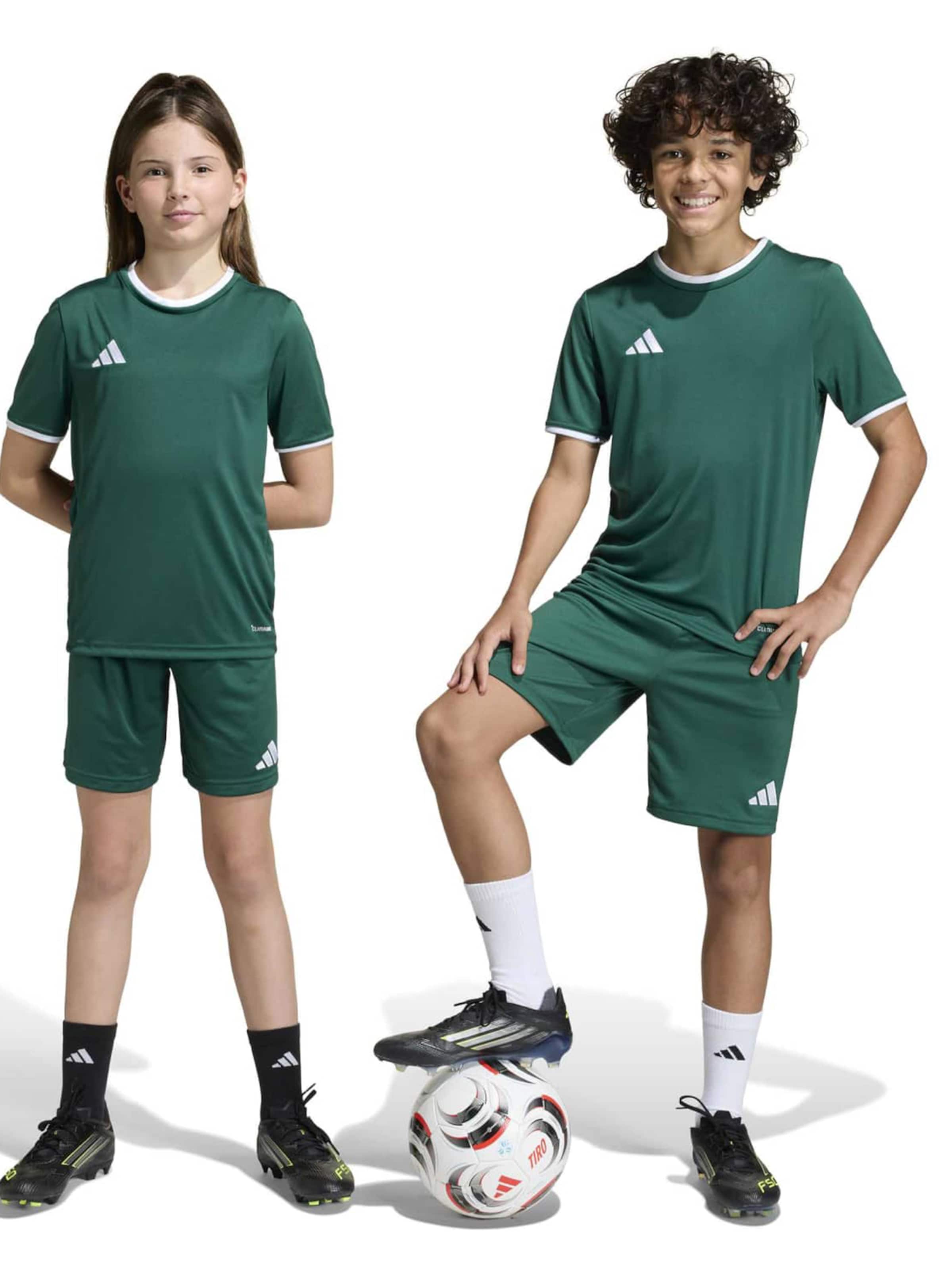 Regular Pantalon de sport 'ENT26' ADIDAS PERFORMANCE en vert : devant