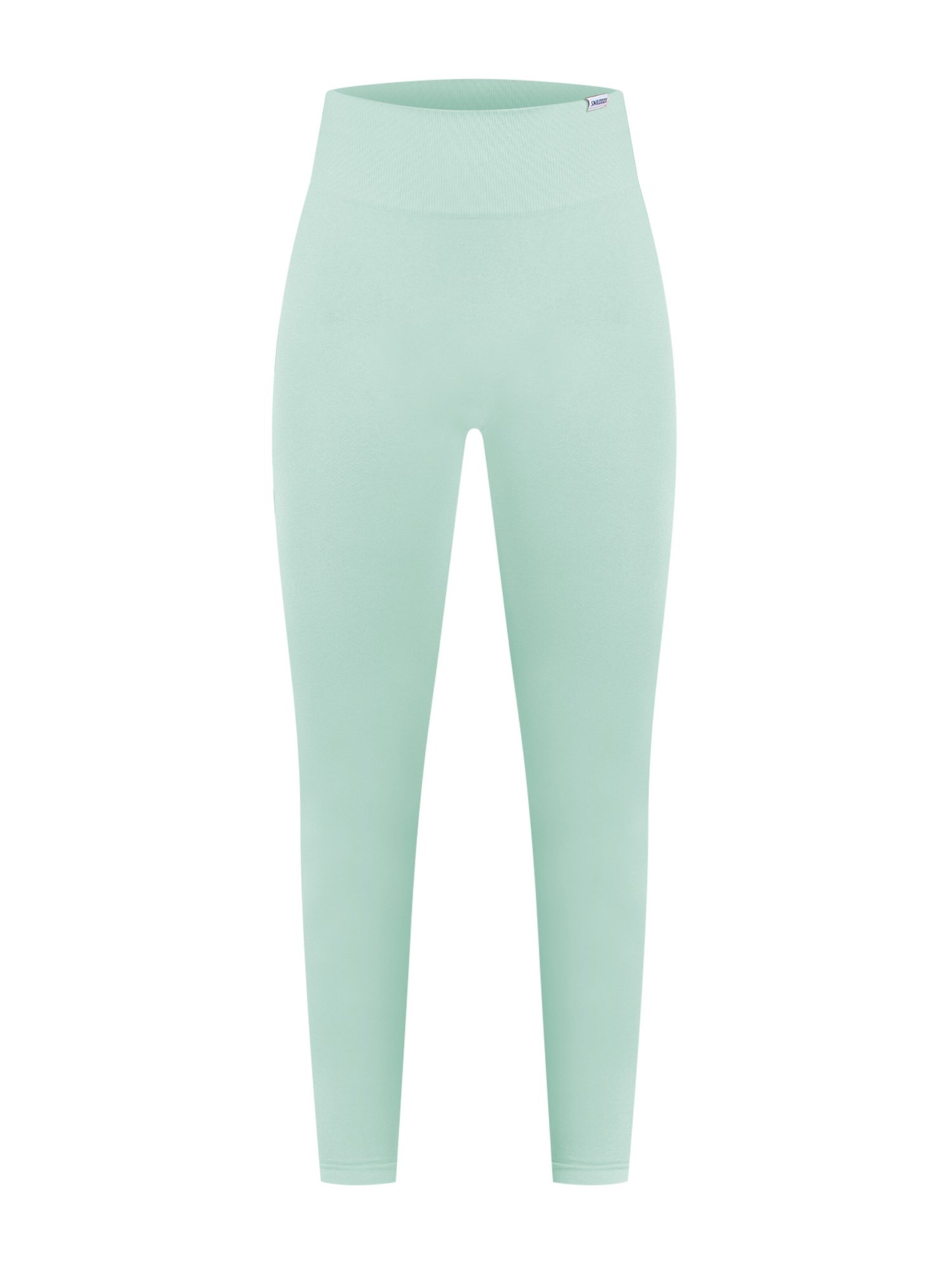 Smilodox Skinny Leggings in Green: front