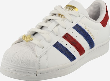 ADIDAS ORIGINALS - Zapatillas deportivas bajas 'Superstar' en blanco: frente