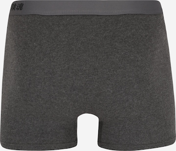 Superdry Boxer shorts in Grey