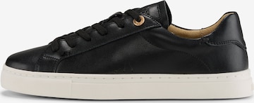 Baskets basses 'Tinta Coralie' JOOP! en noir : devant