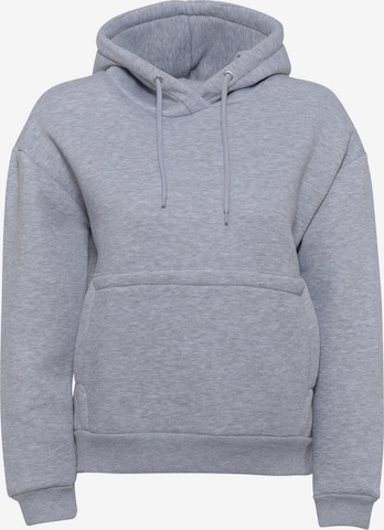 FRESHLIONS Sweatshirt 'Balina' in Grey: front