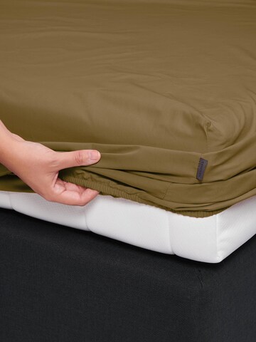 ESSENZA Bed Sheet 'Minte' in Green