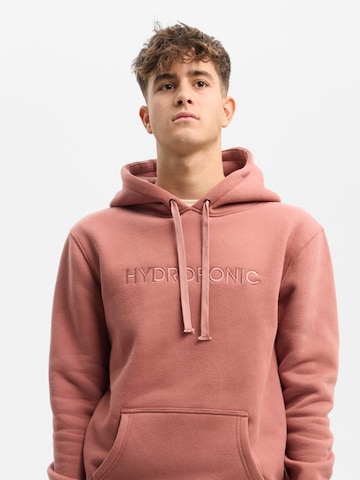 hydroponic - Sudadera 'Hydroponic Regular-Fit Brand Embroidered Hoodie' en naranja: frente