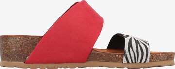 Mule IGI&CO en rouge