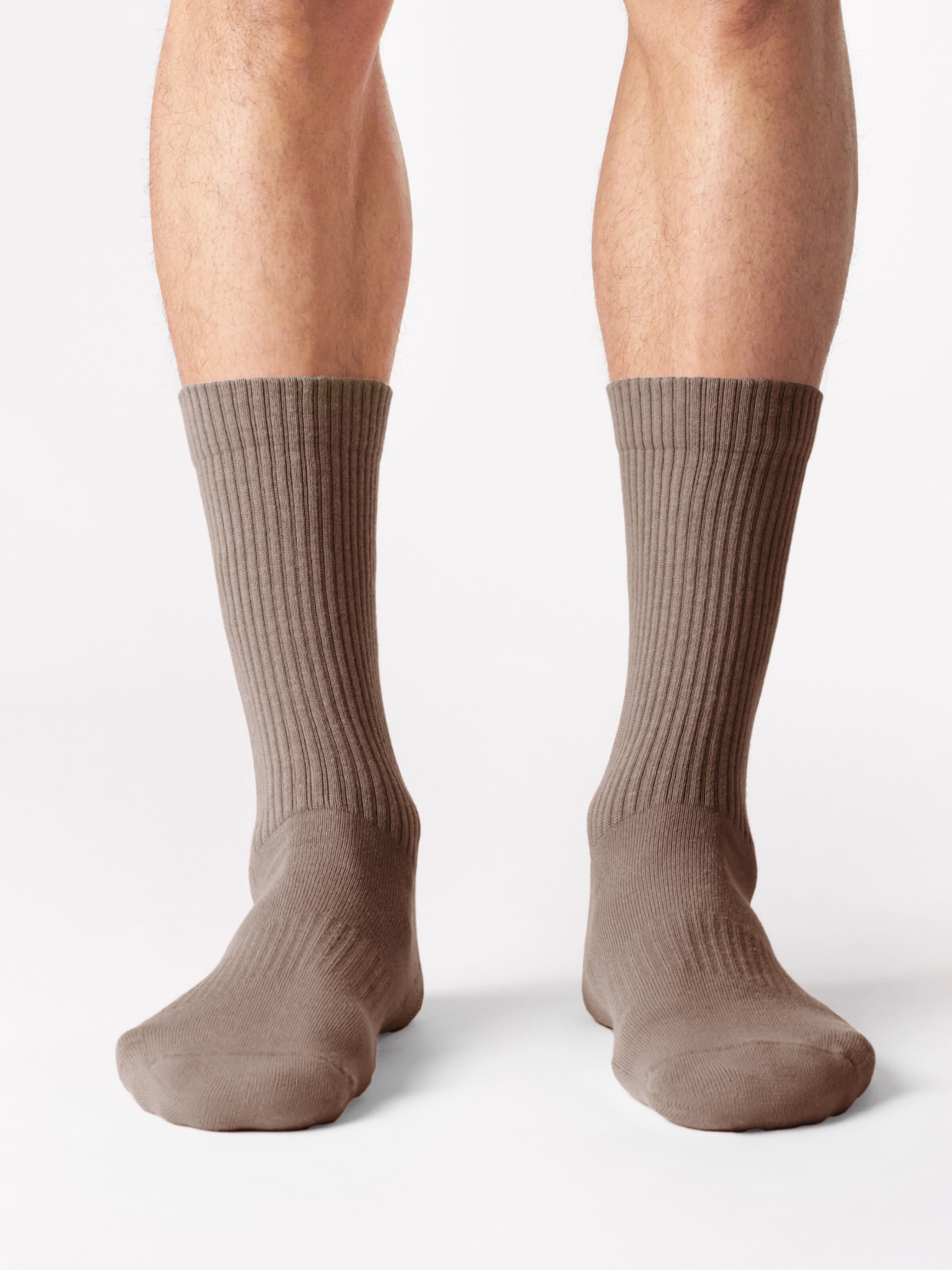 Von Jungfeld Socks 'CASUAL CLASSIC' in Brown: front