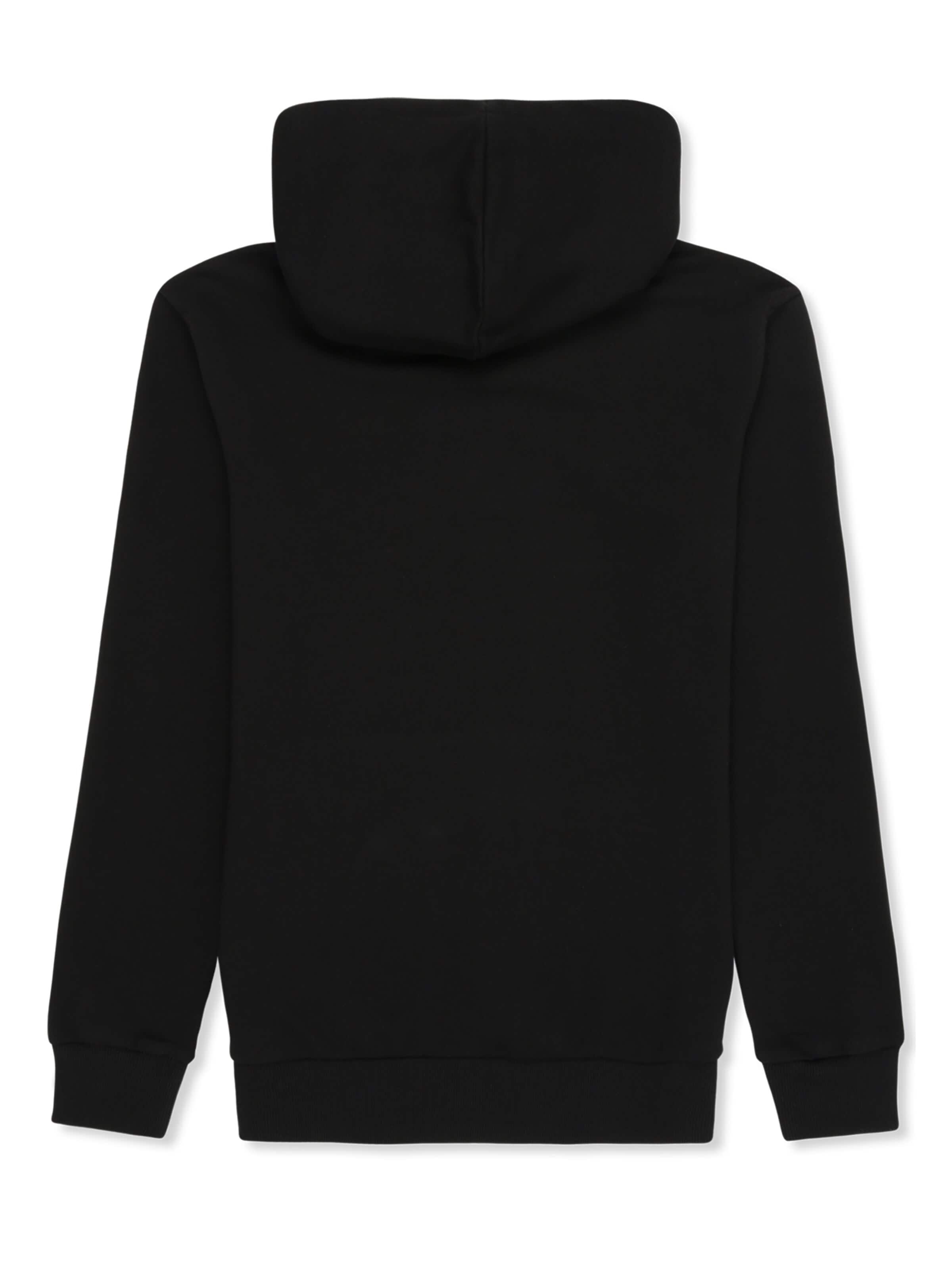 FILA Sweatshirt 'LUMEZZANE hoodie'‌‌‌‌‌ in Schwarz