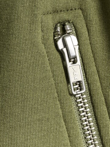 SOMETIME SOON Tapered Trousers in Green