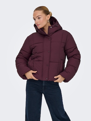 JDY Winter jacket 'JDYWONDER' in Purple: front