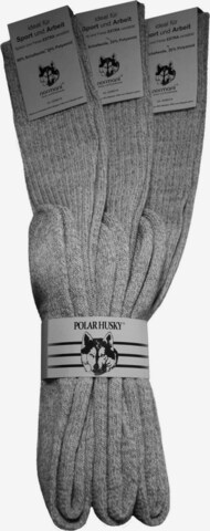 Chaussettes montantes Polar Husky en gris