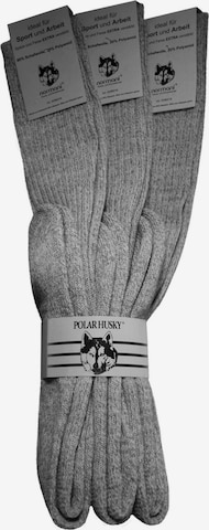 Polar Husky Knee High Socks in Grey