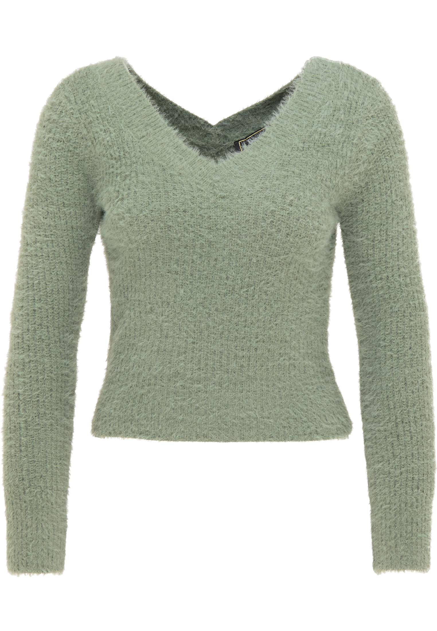 Odzież Kobiety faina Sweter w kolorze Pastelowy Zielonym 