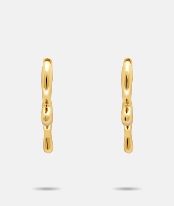 Liebeskind Berlin Earrings in Gold