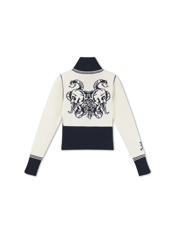 Veste d’hiver Ed Hardy en bleu