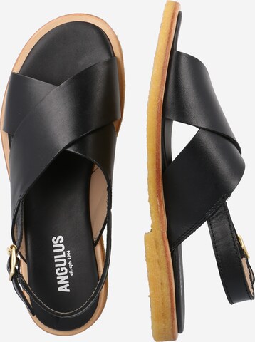 ANGULUS Sandals in Black