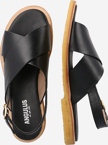 ANGULUS Sandal in Black