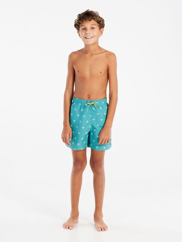 PROTEST Badeshorts 'PRTSteven JR' in Grün