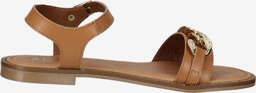 Sandales à lanières SCAPA en marron