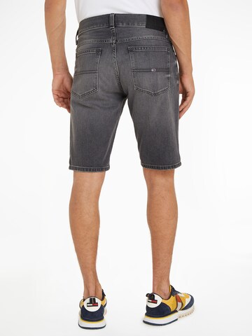 Tommy Jeans Regular Shorts 'Ronnie' in Grau