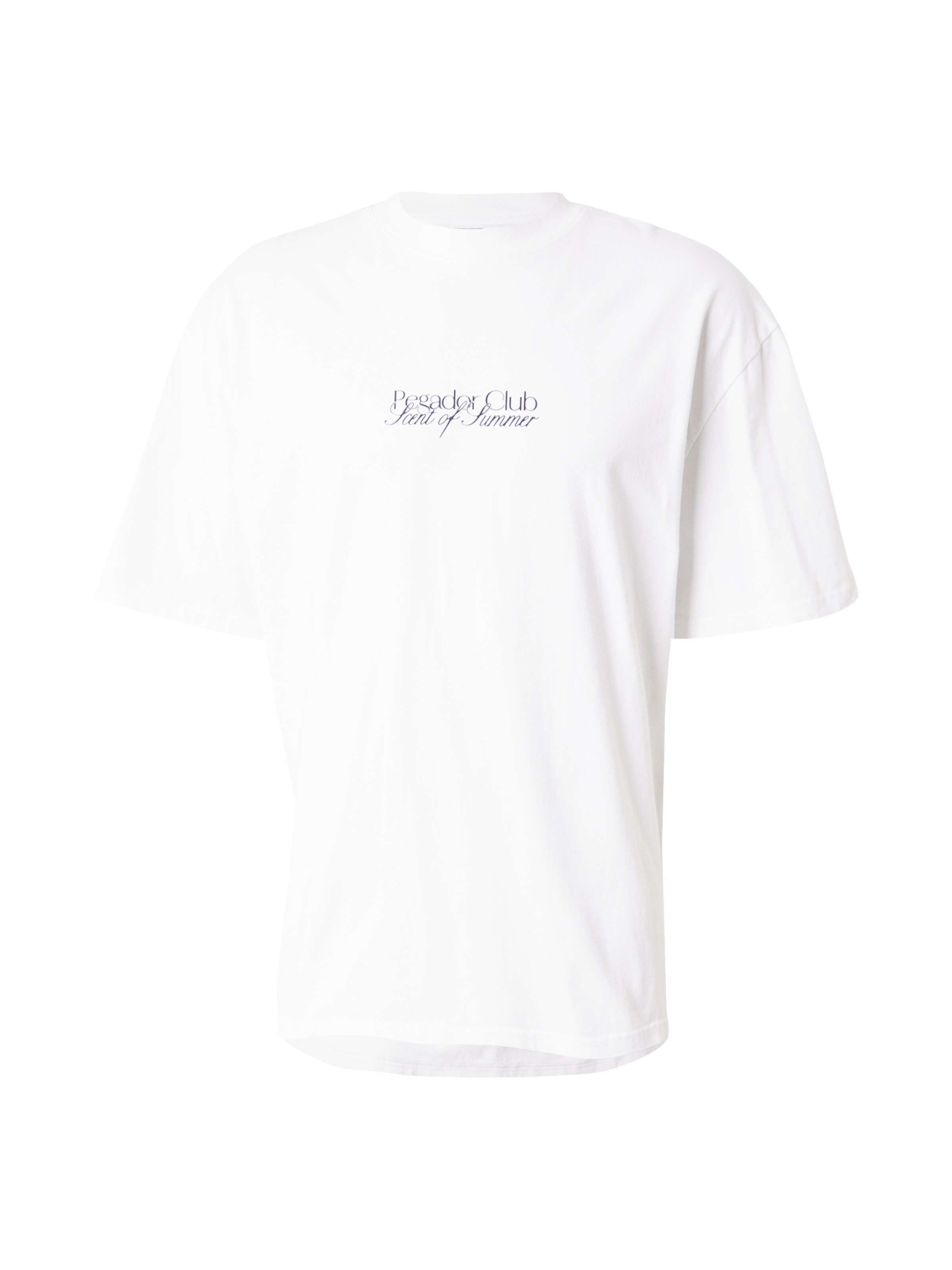 Maglietta 'Ramon' di Pegador in bianco: frontale