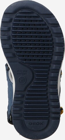 GEOX Sandals & Slippers 'ALBEN' in Blue