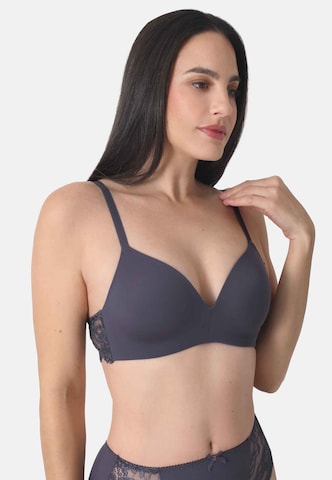 sassa Classic Bra in Grey