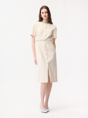 adl Shirt Dress in Brown