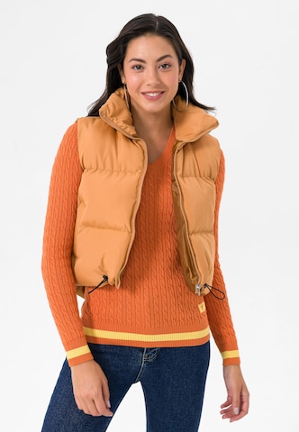 Jimmy Sanders Bodywarmer in Bruin: voorkant