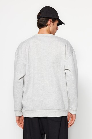Trendyol Sweatshirt i grå