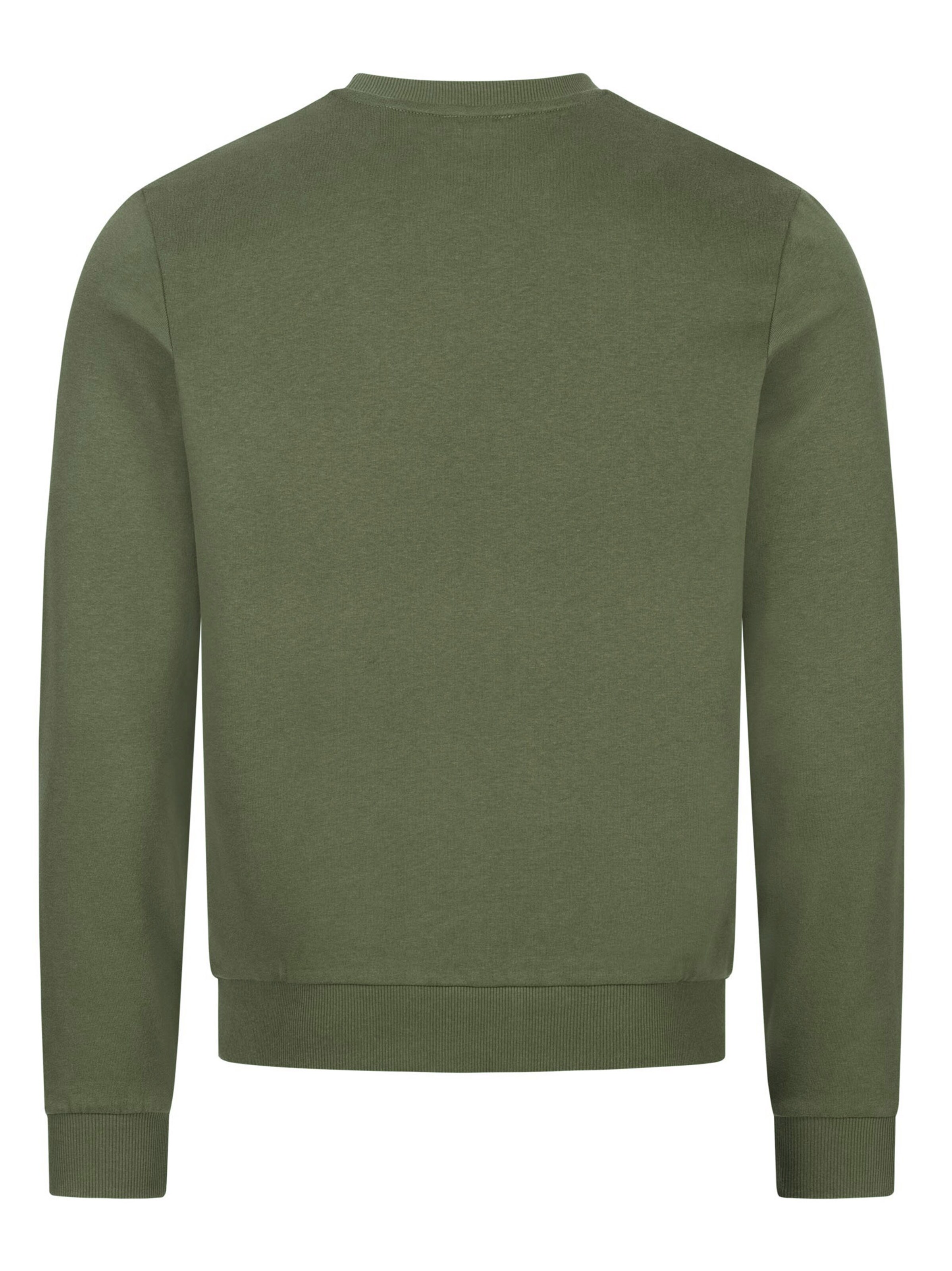 U.S. POLO ASSN. Sweatshirt in Green