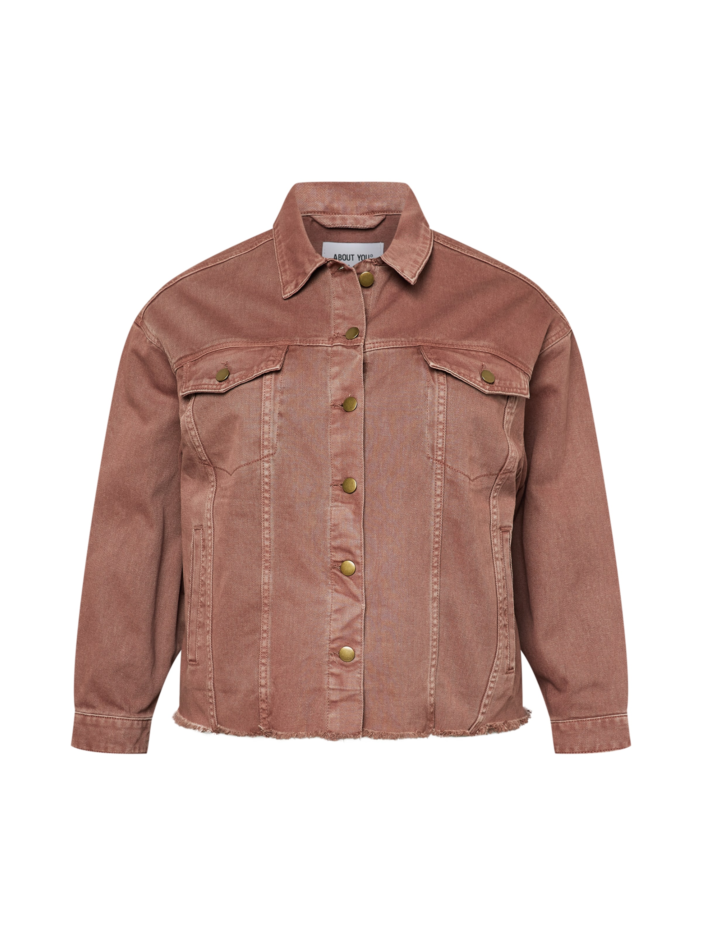 ABOUT YOU Curvy Between-season jacket 'Robin' in Brown: front