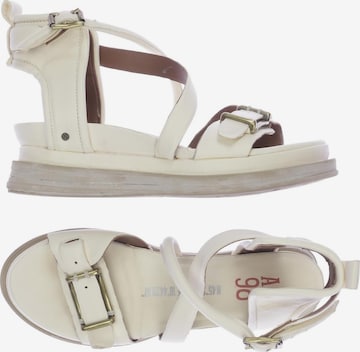 A.S.98 Sandals & High-Heeled Sandals in 41 in White: front