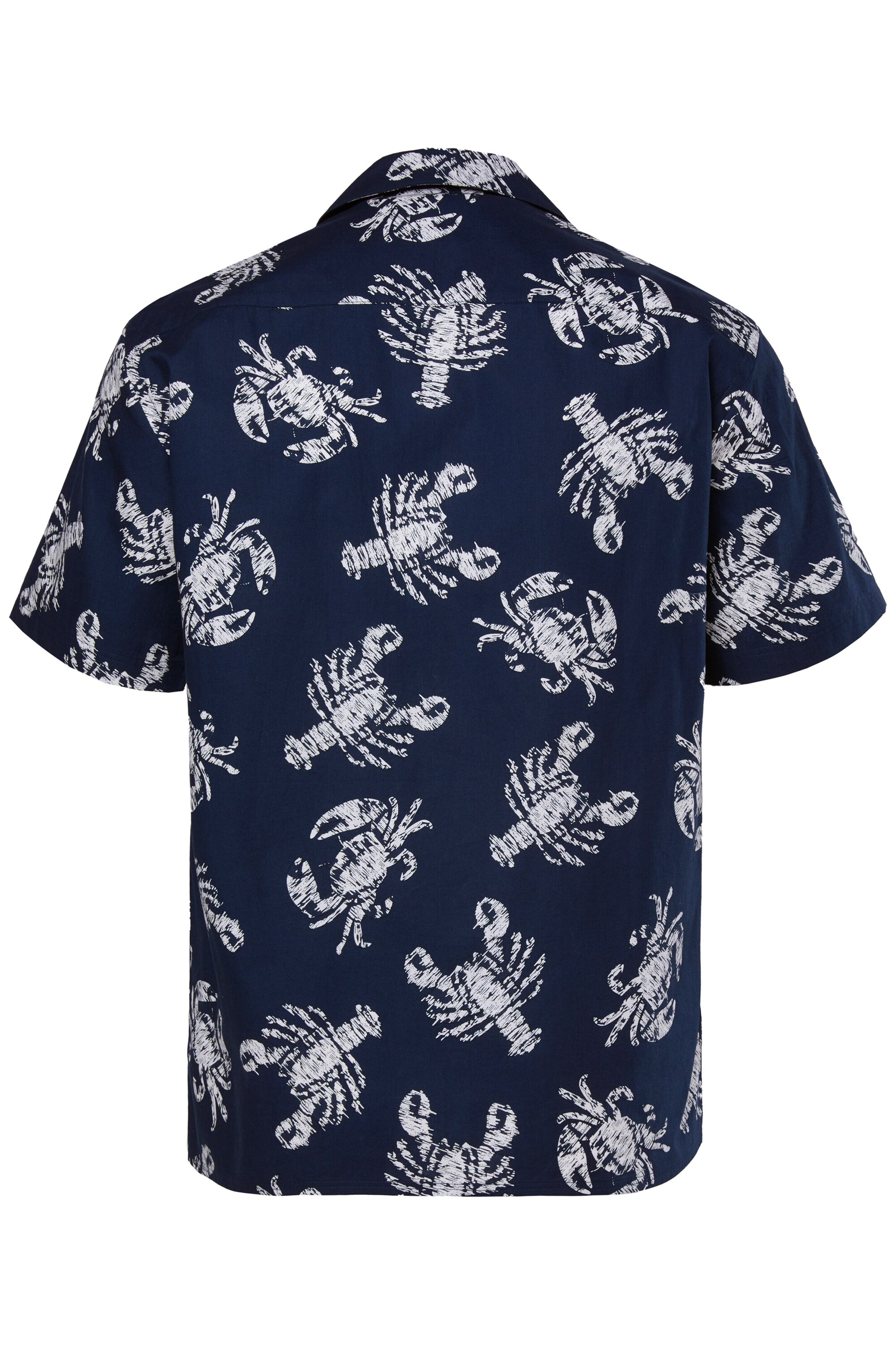 Men Plus Comfort fit Overhemd in Blauw