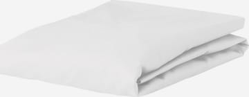 ESSENZA Bed Sheet in White: front