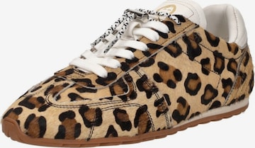 Baskets basses 'Gloric' Cruyff en marron : devant