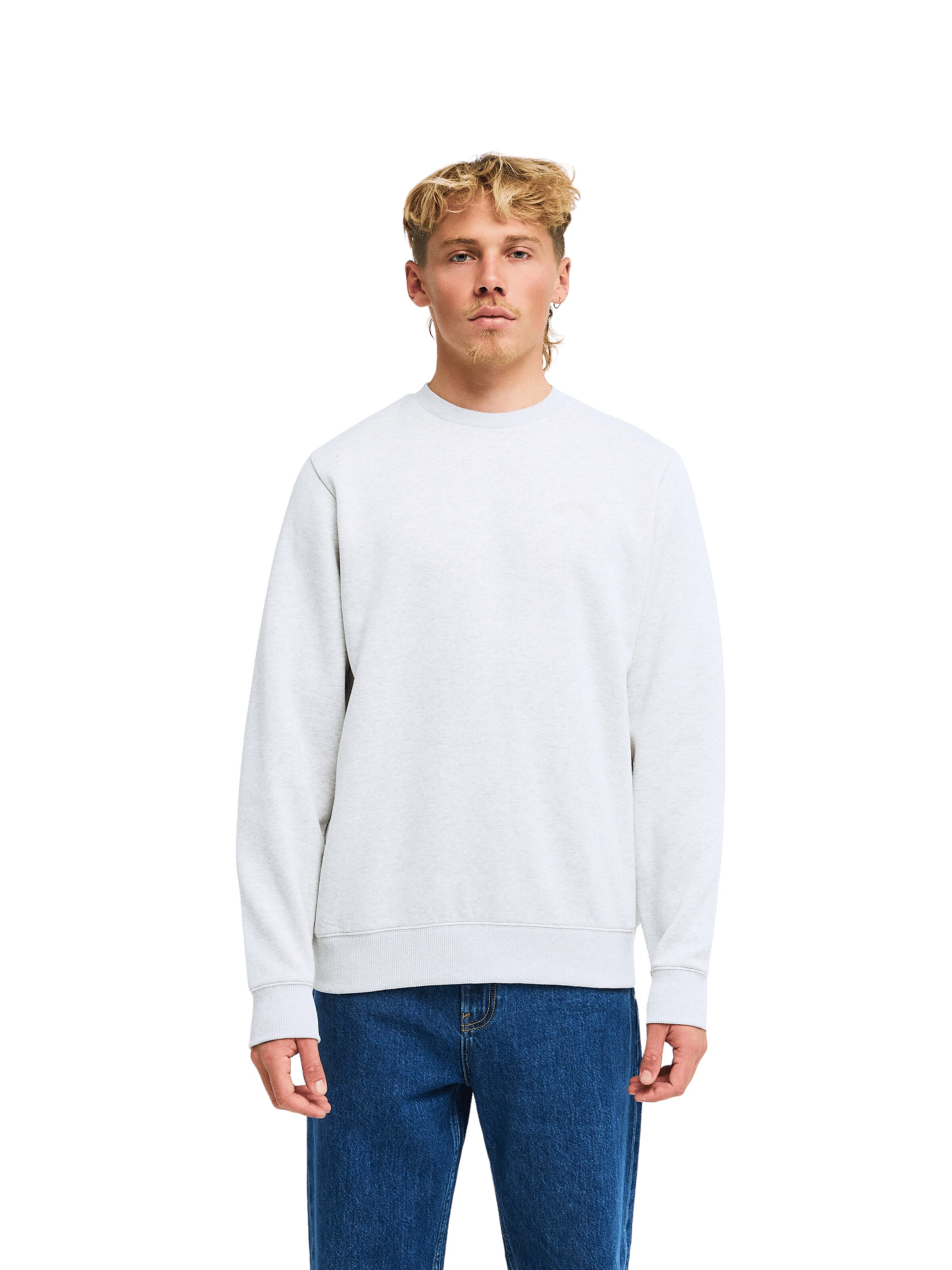 BILLABONG Sweatshirt 'Arch' in Grey: front