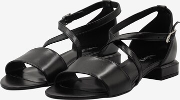 Usha Strap sandal in Black