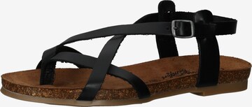 COSMOS COMFORT Strap Sandals in Black: front