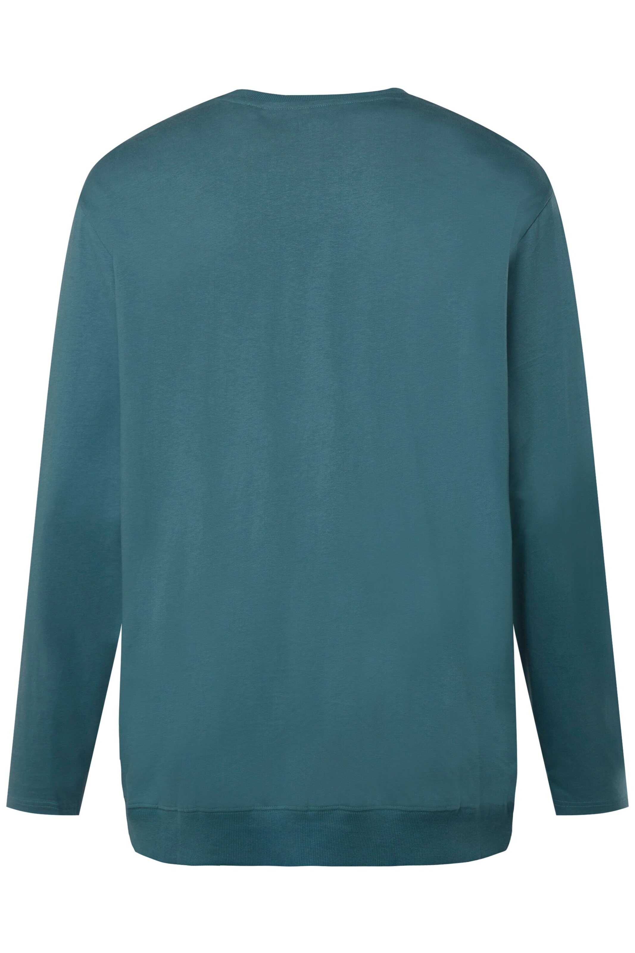 Men Plus Shirt in Blue