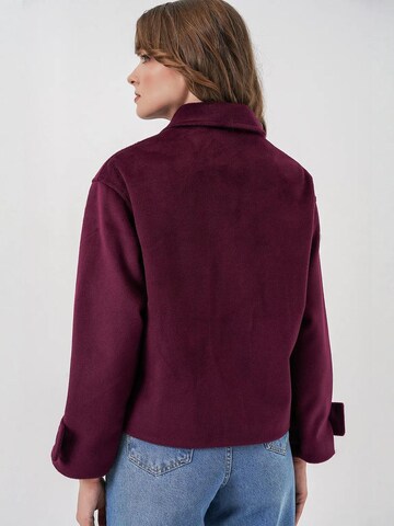 Bigdart Between-season jacket in Purple