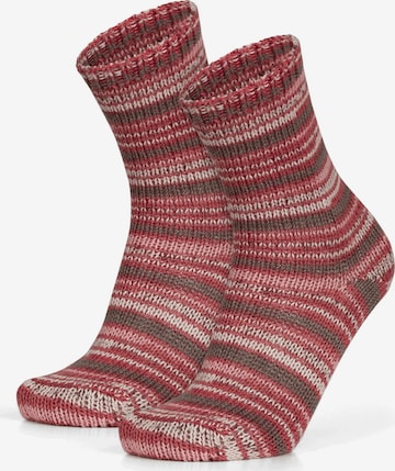 Chaussettes normani en marron