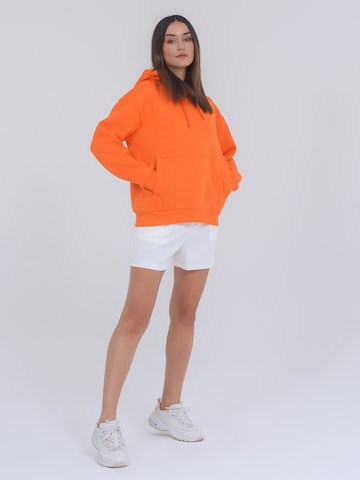 FRESHLIONS Sweatshirt ' Balina ' i orange