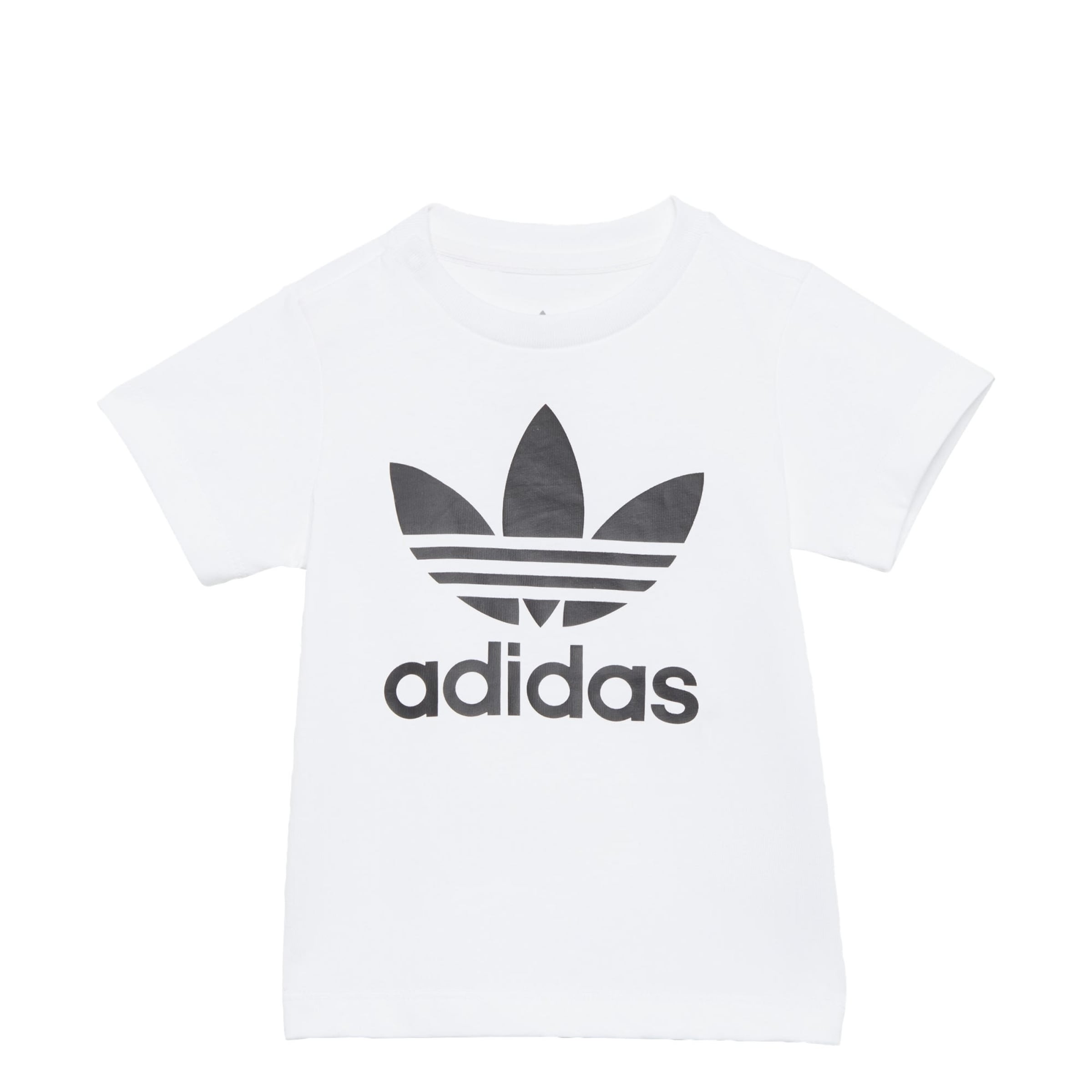 ADIDAS ORIGINALS Shirt Trefoil in White ABOUT YOU