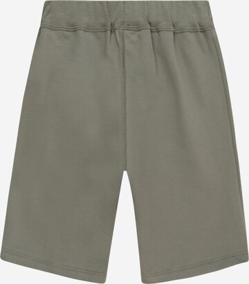 PETIT BATEAU Regular Shorts in Grün