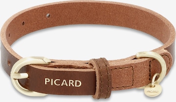 Picard Hundehalsband 'Susi' in Braun: Vorderseite