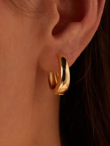 Boucles d'oreilles 'Statement' Lucardi en or