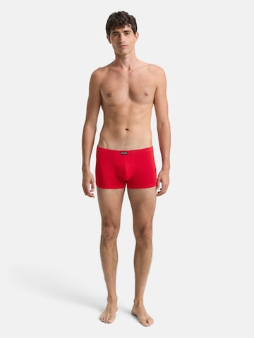 TOM TAILOR Boxershorts in Mischfarben: Vorderseite