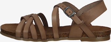 COSMOS COMFORT Strap Sandals in Brown